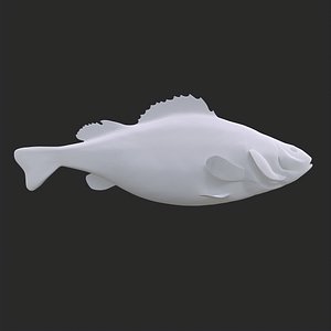Perch 3D Print Model