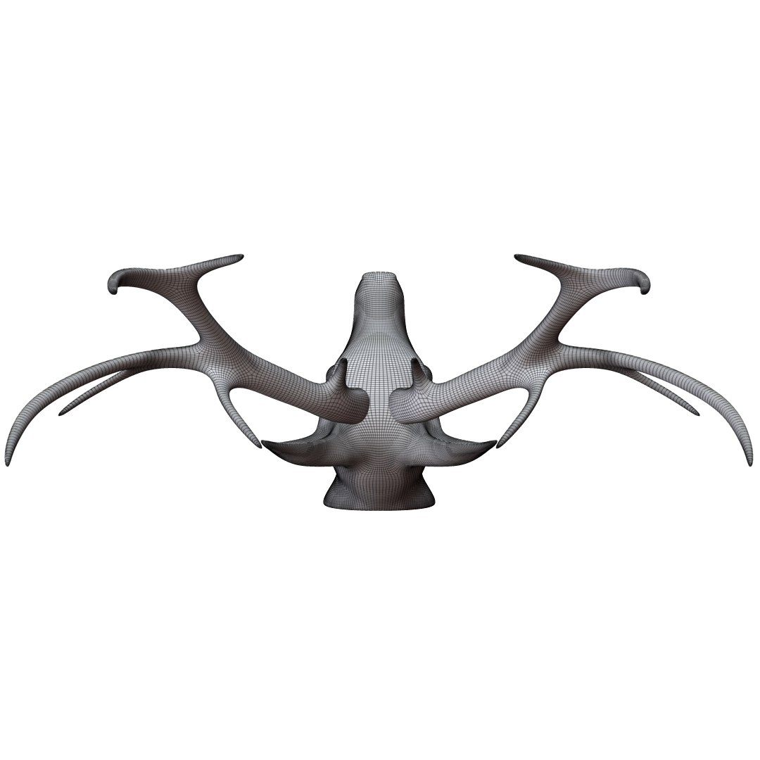 deer head 3D https://p.turbosquid.com/ts-thumb/rN/39jJms/tM3K99XV/deerhead20/jpg/1542406818/1920x1080/fit_q87/550e1cabd1968033cb9c90b2ea6adecbc6eeec16/deerhead20.jpg