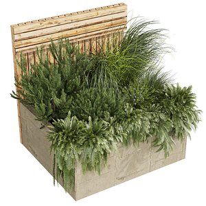 plant vol 833 - bush - pinus - pine - fern model