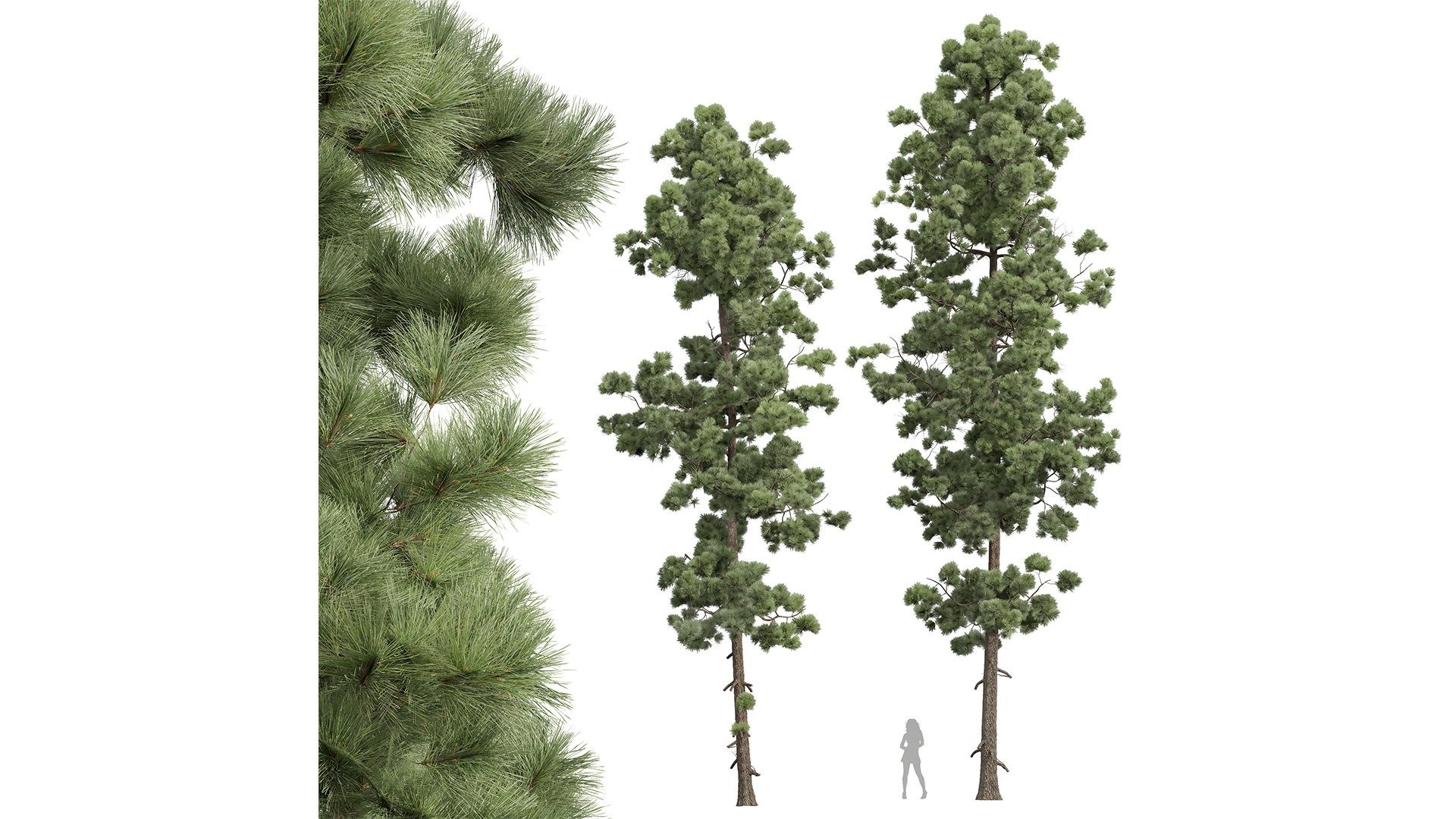 6Different SETS Of Bush Set Vol 28 3D - TurboSquid 2205083