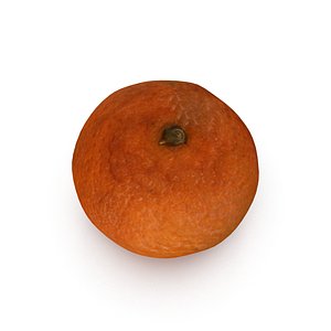 3d model of mandarin satsuma fruit