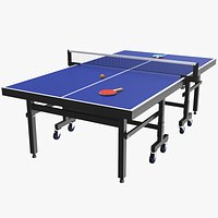 Tennis Table