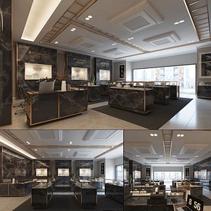 Luxury Jewelry Store Interior