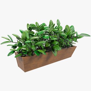Stylized Flower Pot Under Window