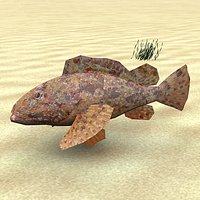 Skarpina-scorpaena scrofa