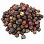 Realistic Rotten Apple Pile