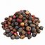 Realistic Rotten Apple Pile