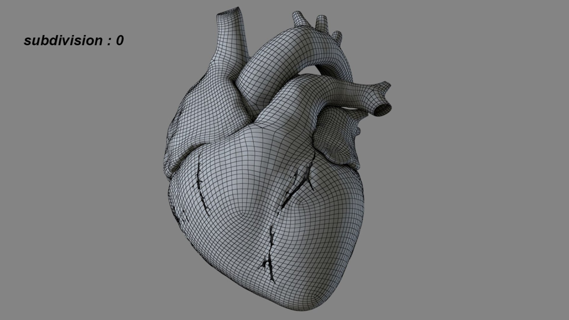 Human Heart Anatomy Animation 3D model https://p.turbosquid.com/ts-thumb/rN/nEu6W9/A4/21/jpg/1750645146/1920x1080/fit_q87/286eb3d8f3330416aff8eeca05f49bc768125ecf/21.jpg