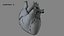 Animazione 3D dell'anatomia del cuore umano
