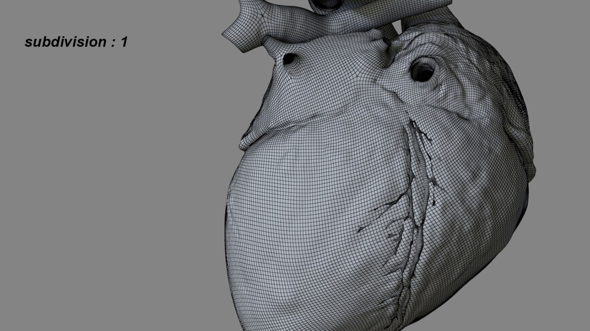 Human Heart Anatomy Animation 3D model https://p.turbosquid.com/ts-thumb/rN/nEu6W9/FT/24/jpg/1750645140/1920x1080/fit_q87/68afae8ea122ae163481502156d1d7b353e12fe8/24.jpg