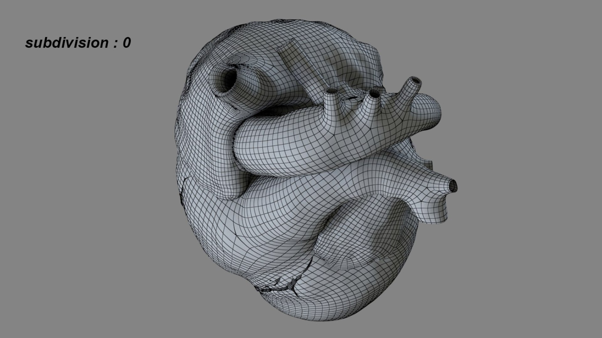 Human Heart Anatomy Animation 3D model https://p.turbosquid.com/ts-thumb/rN/nEu6W9/NK/25/jpg/1750645140/1920x1080/fit_q87/a731e549da906fa47cb8ff3b4a9af24de3ac1ebb/25.jpg