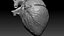 Animazione 3D dell'anatomia del cuore umano