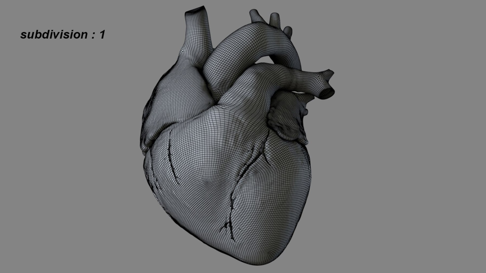 Human Heart Anatomy Animation 3D model https://p.turbosquid.com/ts-thumb/rN/nEu6W9/RI/22/jpg/1750645139/1920x1080/fit_q87/992a40e029174297ec71c8efef1218c6fa54ab71/22.jpg