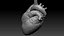 Animazione 3D dell'anatomia del cuore umano