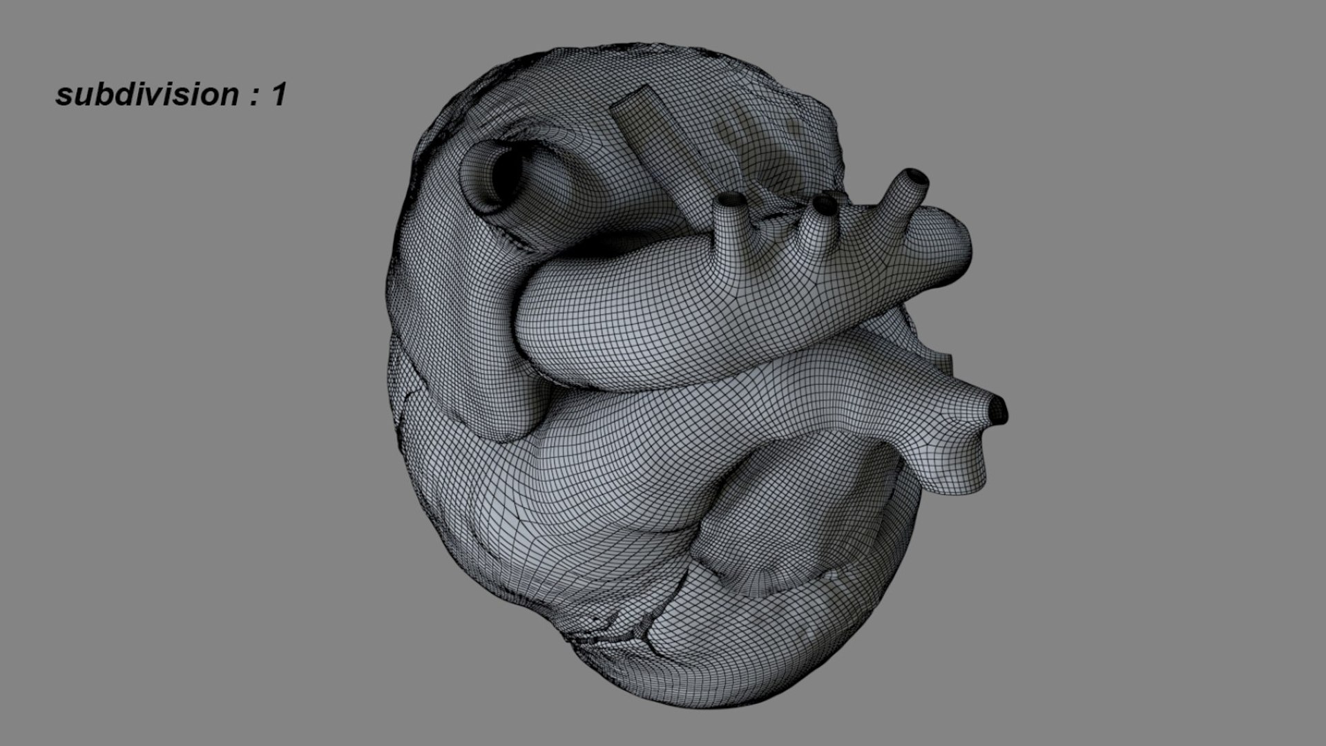 Human Heart Anatomy Animation 3D model https://p.turbosquid.com/ts-thumb/rN/nEu6W9/ZT/26/jpg/1750645140/1920x1080/fit_q87/78206377f0beb32b55392e2323df8ef9f9aa1787/26.jpg