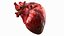 Animazione 3D dell'anatomia del cuore umano
