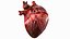 Animazione 3D dell'anatomia del cuore umano