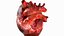Animazione 3D dell'anatomia del cuore umano