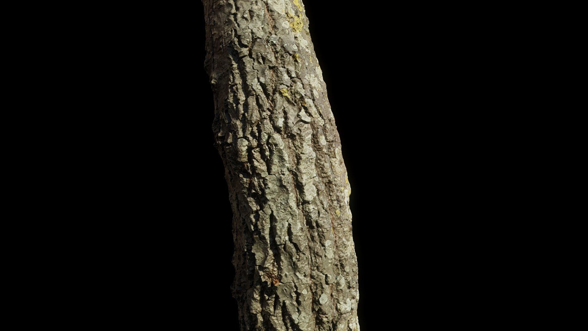 tree11scan 3D https://p.turbosquid.com/ts-thumb/rN/ouLlev/0i/screenshot046/png/1652383585/1920x1080/fit_q87/e80e097fda5783c2cb34ddf61304ec0c8cead3b1/screenshot046.jpg