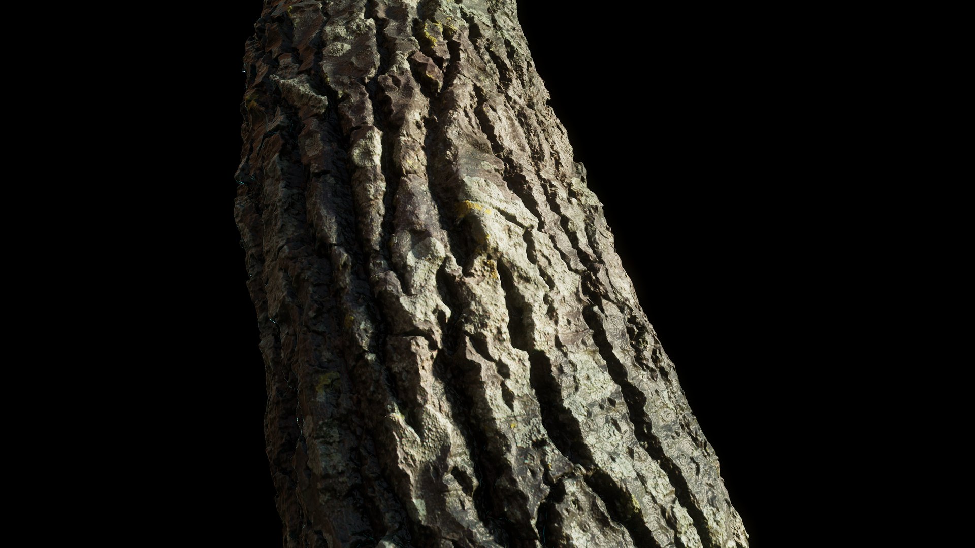 tree11scan 3D https://p.turbosquid.com/ts-thumb/rN/ouLlev/70/screenshot045/png/1652383595/1920x1080/fit_q87/0499d0e72b8887f8e103e29fa894634e60a4e404/screenshot045.jpg