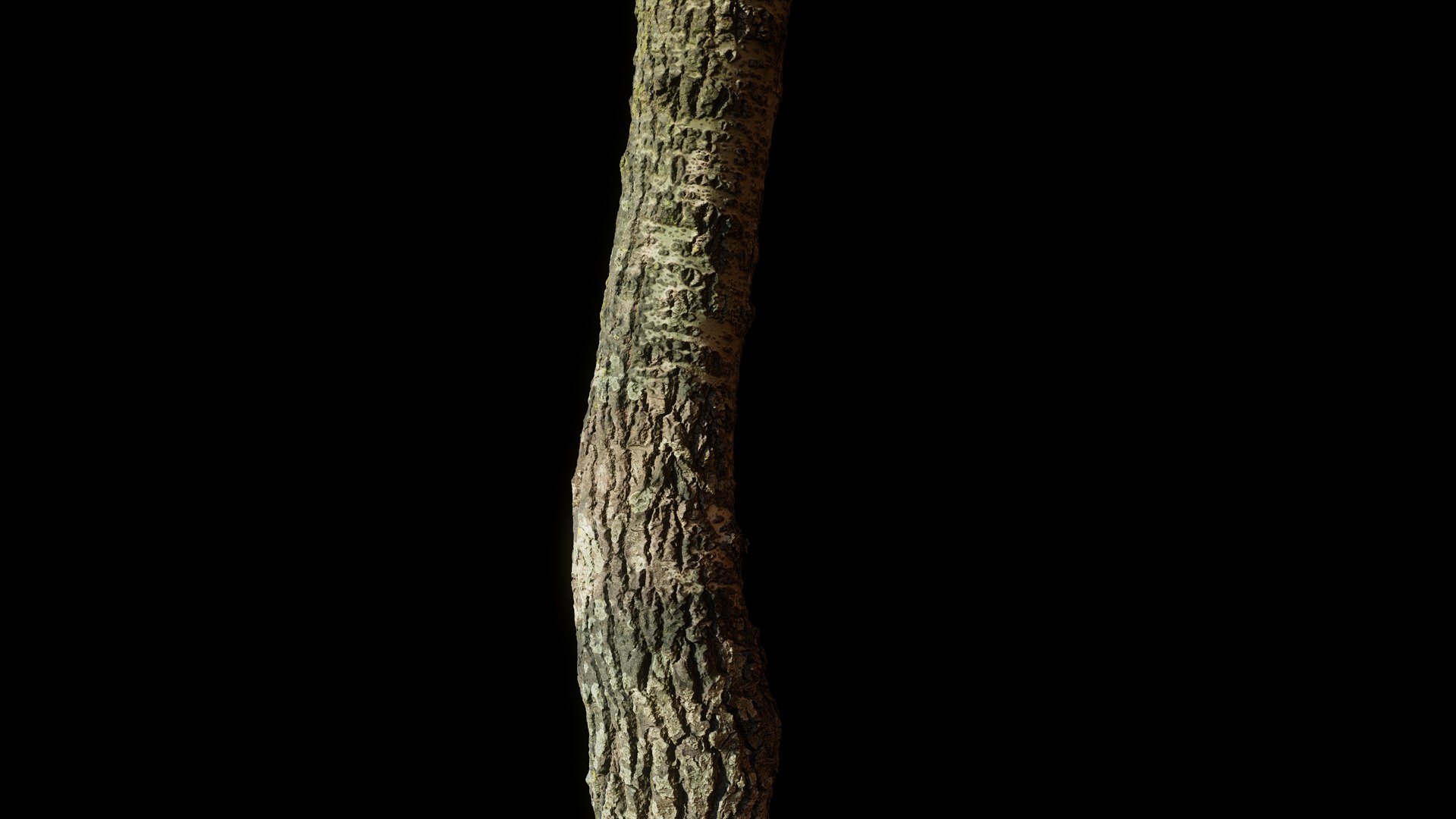 tree11scan 3D https://p.turbosquid.com/ts-thumb/rN/ouLlev/8I/screenshot035/png/1652383584/1920x1080/fit_q87/e886091c1811333640bc9dcb43ff40bb980c718a/screenshot035.jpg