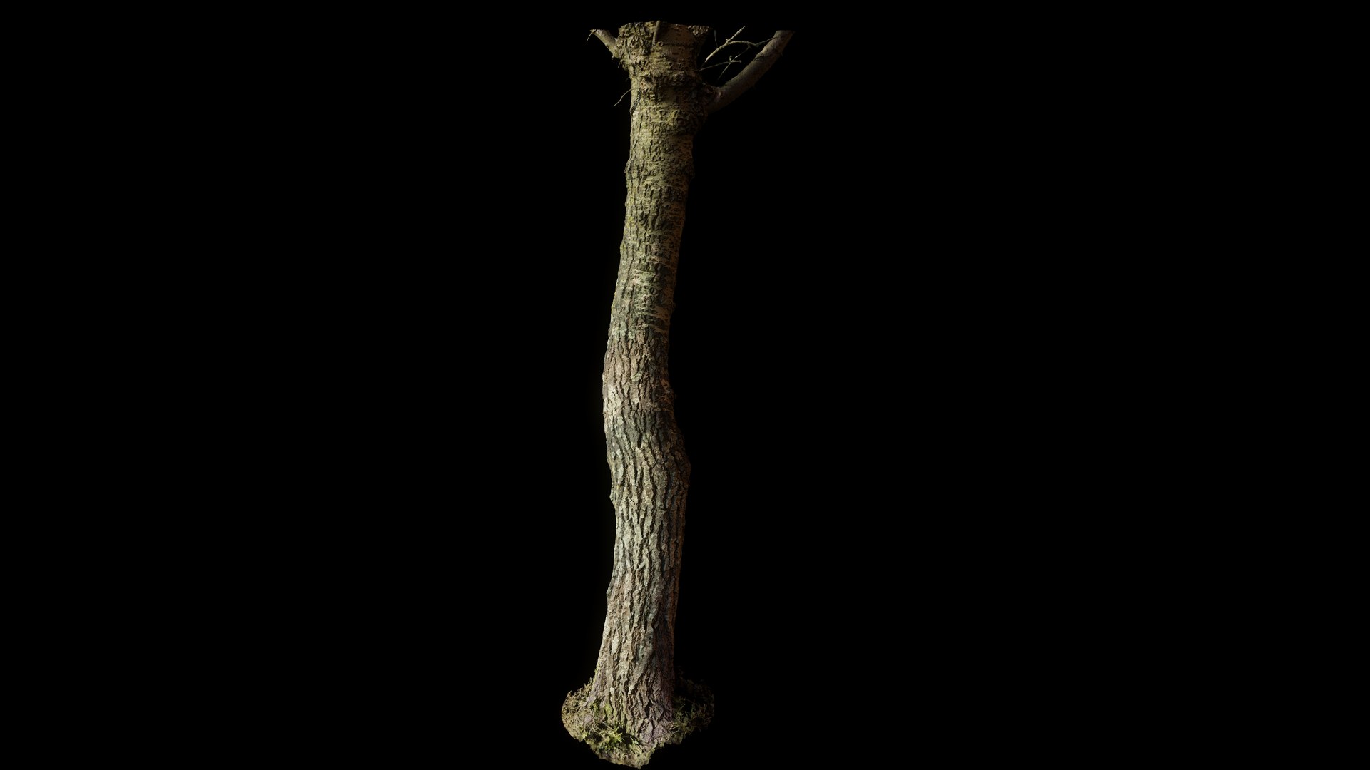 tree11scan 3D https://p.turbosquid.com/ts-thumb/rN/ouLlev/Da/screenshot034/png/1652383585/1920x1080/fit_q87/270b42f2e0eb6622ab1ee8b2368ab19e628f7d2f/screenshot034.jpg
