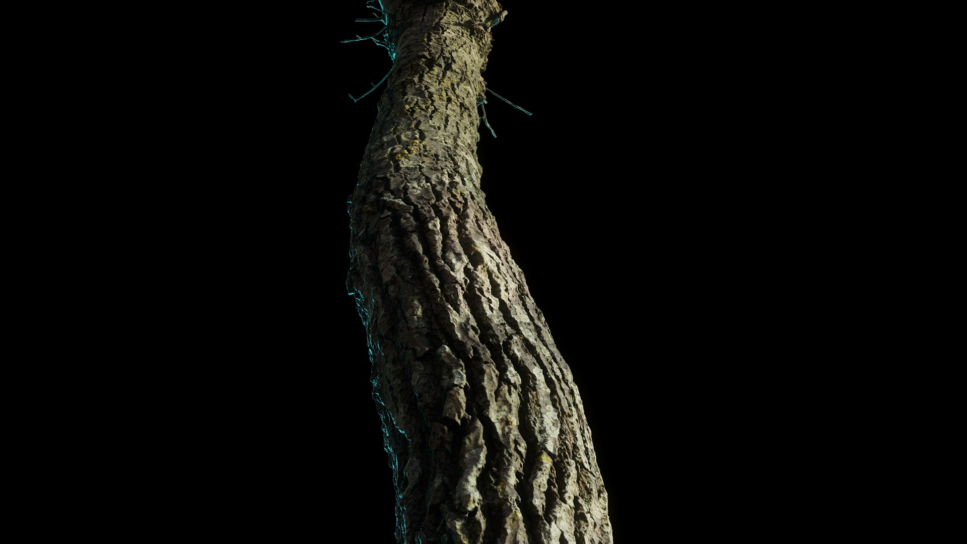tree11scan 3D https://p.turbosquid.com/ts-thumb/rN/ouLlev/Nn/screenshot037/png/1652383586/1920x1080/fit_q87/356a4146f7d346e1968c55b0dee7cfa95d07e93b/screenshot037.jpg