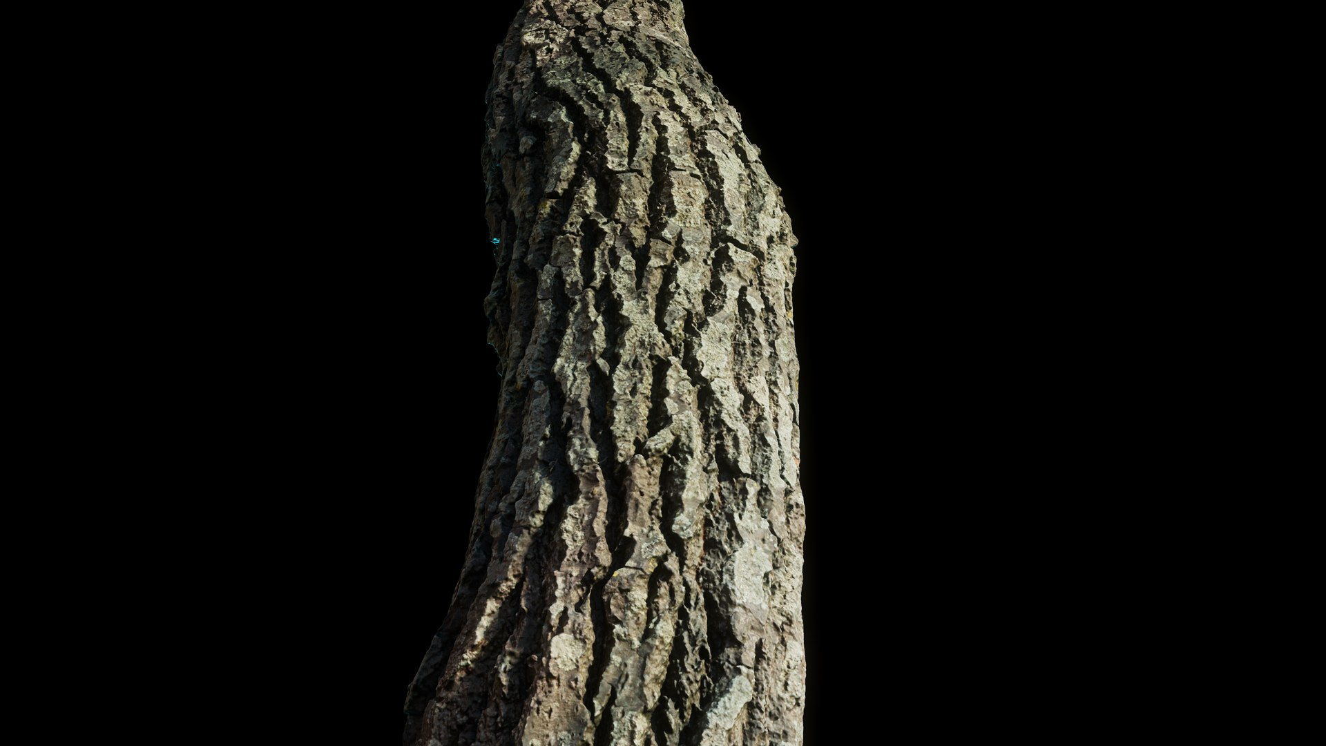 tree11scan 3D https://p.turbosquid.com/ts-thumb/rN/ouLlev/QK/screenshot038/png/1652383589/1920x1080/fit_q87/4e54f59a9e67e430388d516f98f9af3f214ccc7c/screenshot038.jpg