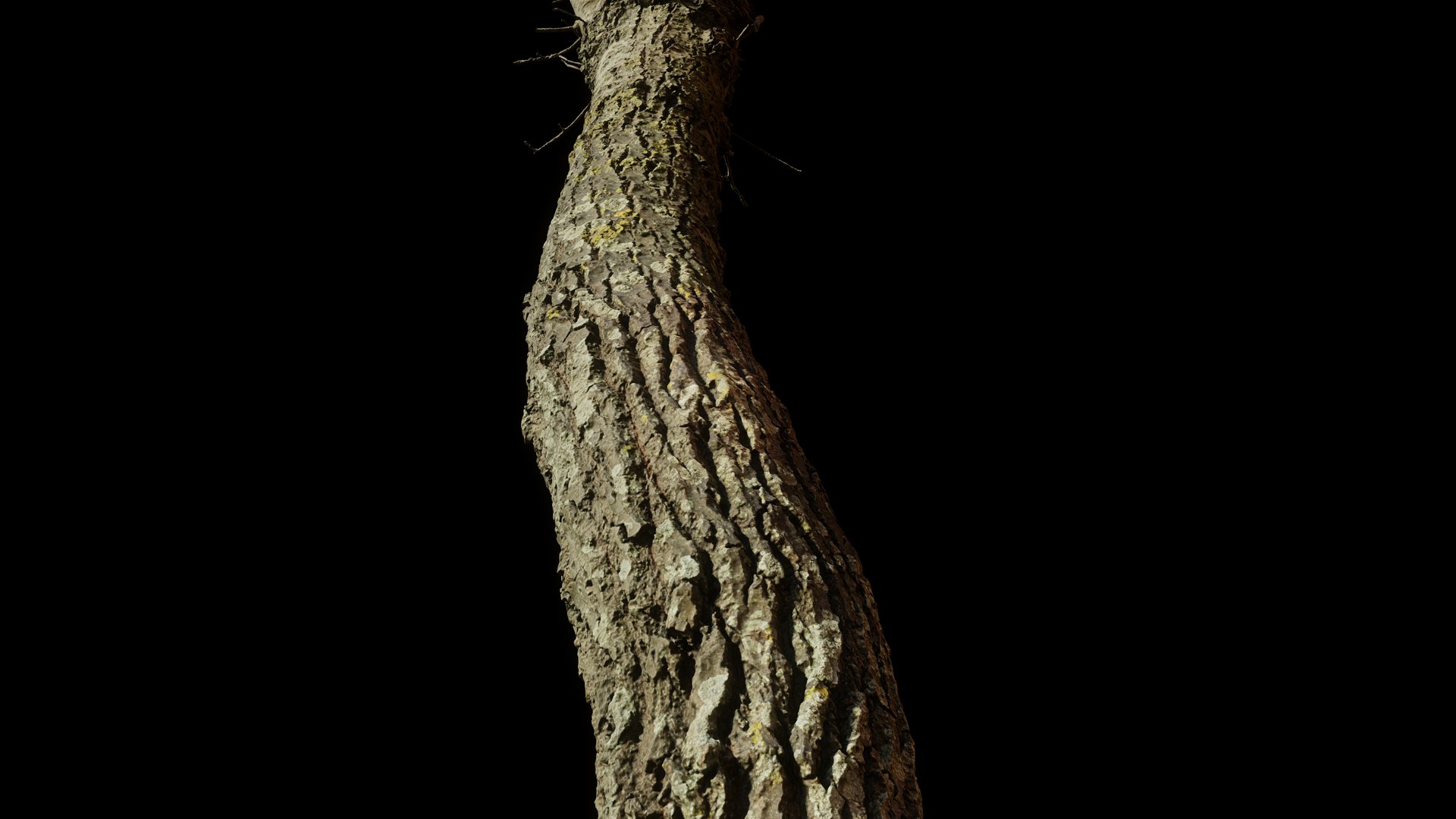 tree11scan 3D https://p.turbosquid.com/ts-thumb/rN/ouLlev/eL/screenshot036/png/1652383587/1920x1080/fit_q87/78f288c79f411d177fbb67f48f459522b9a95617/screenshot036.jpg