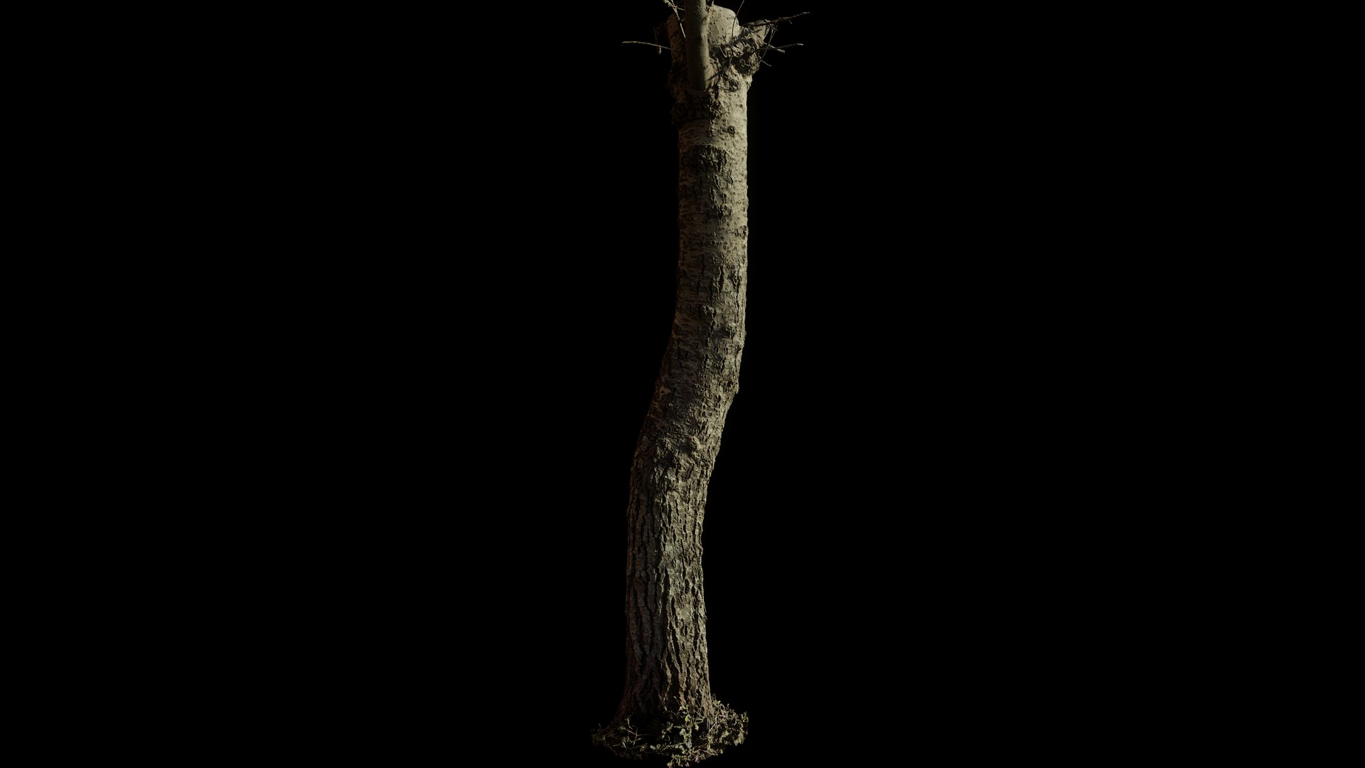 tree11scan 3D https://p.turbosquid.com/ts-thumb/rN/ouLlev/hG/screenshot033/png/1652383583/1920x1080/fit_q87/daf603ab9741e89d39b59f9795cd06eaa9a47df6/screenshot033.jpg