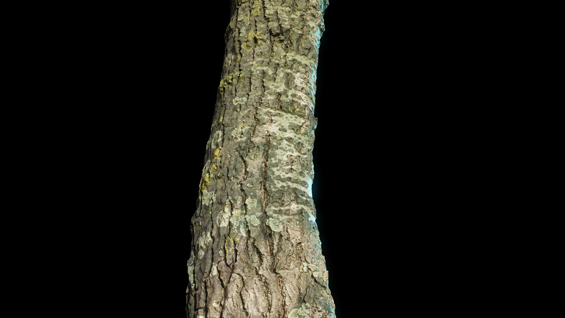 tree11scan 3D https://p.turbosquid.com/ts-thumb/rN/ouLlev/io/screenshot043/png/1652383591/1920x1080/fit_q87/cb71c4c0bc097bcd9c4a9f89fa549f6bf840361a/screenshot043.jpg