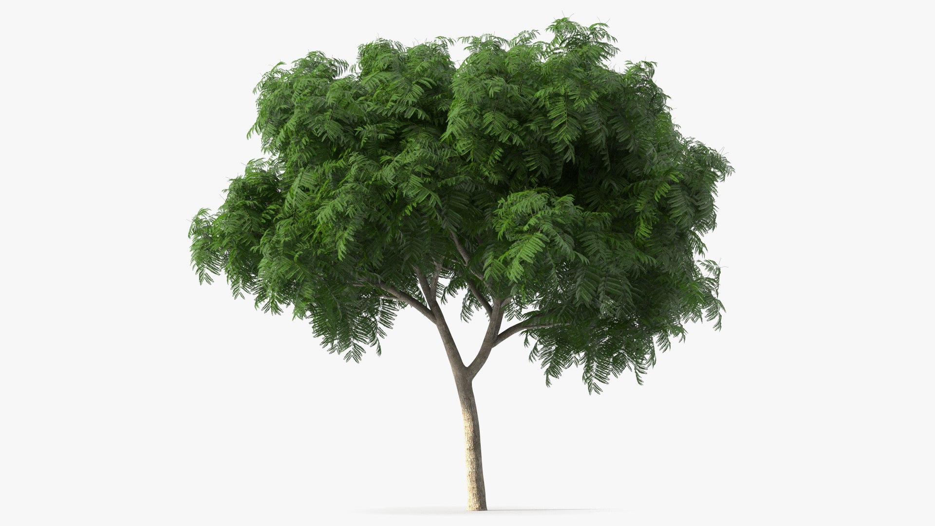Copperpod Tree 3D model preview