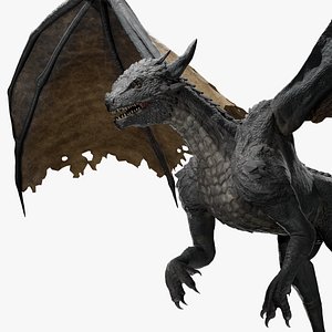Fantasy Dragon  Animated
