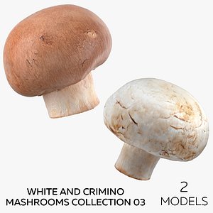 3D White and Crimino Mashrooms Collection 03 - 2 models model