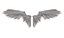 Angel wings