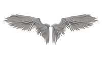 Angel wings