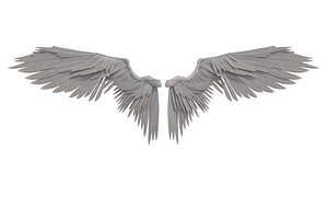 Angel wings