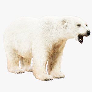Polar Bear Rig UNREAL project 3D model