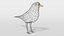 3D blackbird bird modeled prepared model