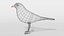 3D blackbird bird modeled prepared model