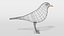 3D blackbird bird modeled prepared model