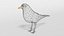 3D blackbird bird modeled prepared model