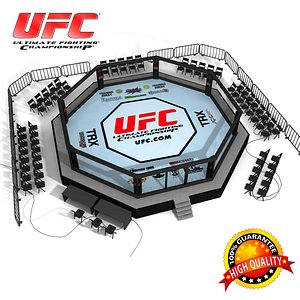 UFC octagon ring