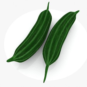 gourd 3D model