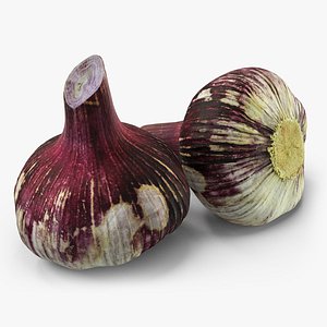 Purple Garlic Bulb