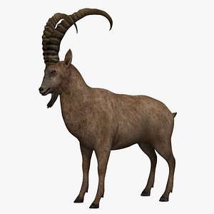 3dsmax mountain goat