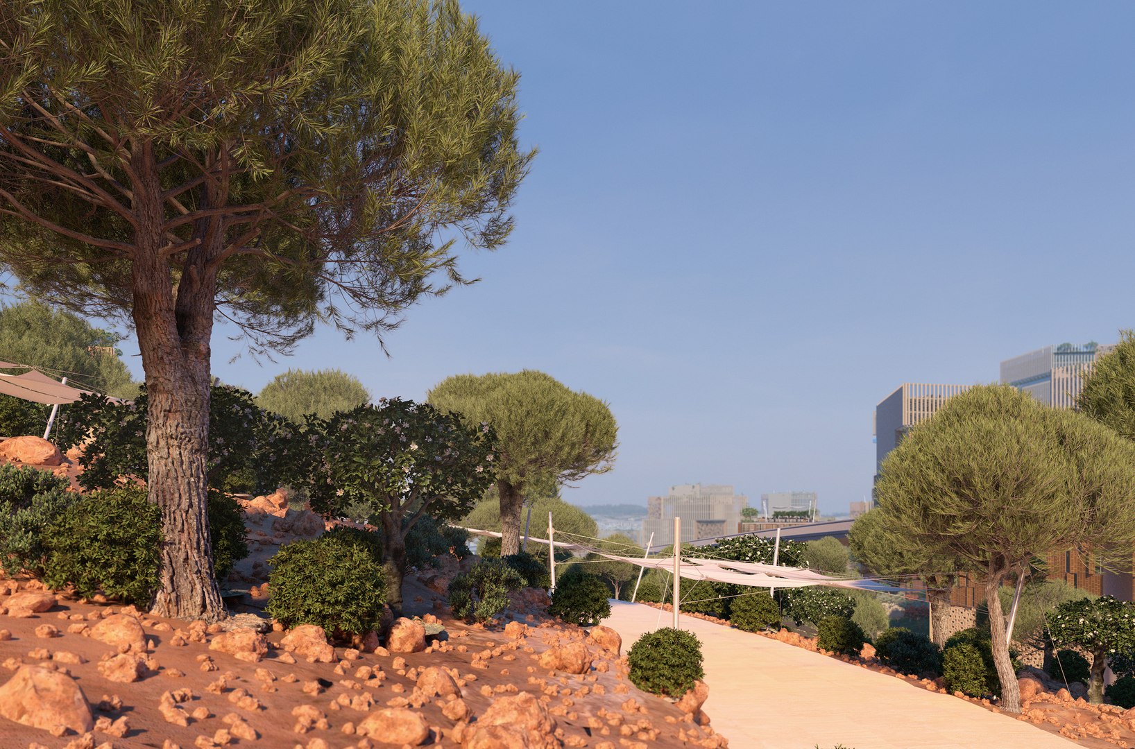 3D Stone Pine Pinus Pinea - TurboSquid 1541481