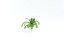 MUSKOT Plants pots set