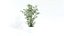 MUSKOT Plants pots set