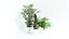 MUSKOT Plants pots set